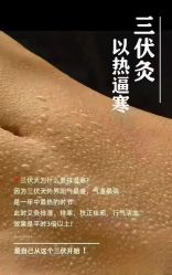 点击看大图 -阅年轻·AI家庭健康体质调理