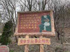 -金龙寺国家森林公园