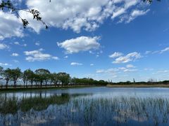 -野鸭湖国家湿地公园