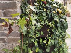 -回龙窝历史文化街区