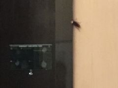 -广州珠江新城木莲庄酒店(暨南大学店)