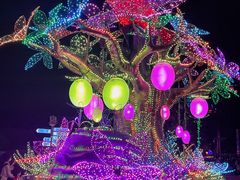 -珠海长隆海洋王国
