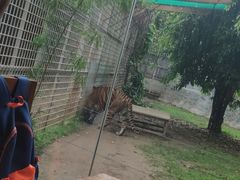 -清迈夜间动物园