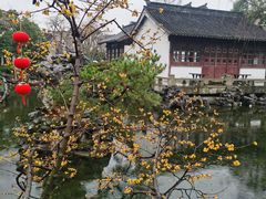 -东山雕花楼