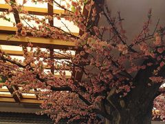 -鸥迪足道(安庆店)