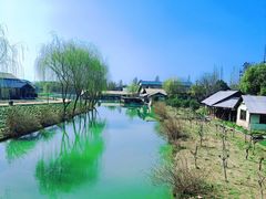 -乌村