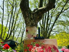 -上海共青森林公园