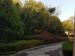 -上海崇明金茂凯悦酒店