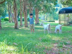 -福建鲤鱼洲酒店