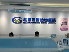 -北京观赏动物医院·24小时大型综合·猫专科·异宠专科