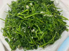 -煲来饱去冷水鱼