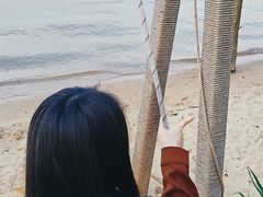 -瑶湖郊野森林公园