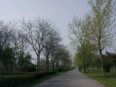 -汉长安城未央宫国家考古遗址公园