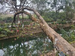 -桂林灵渠景区