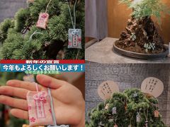 -水之惠鲜鱼料理(王府大街店)