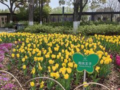 -玄武湖景区-情侣园游乐场