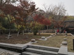 -镇江市南山风景名胜区竹林景区