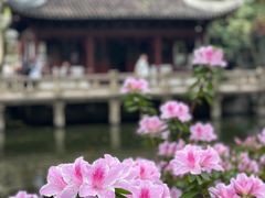 -豫园