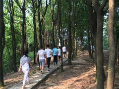 -火炉山森林公园