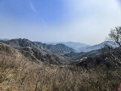 -大岭沟猕猴桃谷风景区