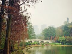 -重庆彩云湖湿地公园