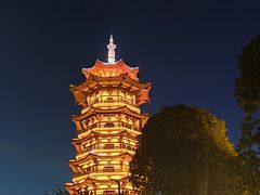 -洋湖国家湿地公园