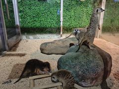 -常州海昌海洋探索馆