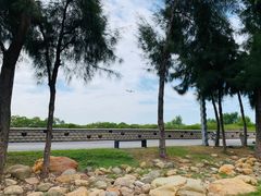 -宝安西湾红树林湿地公园