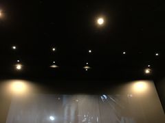 -SFC上影百联影城(川沙IMAX店)