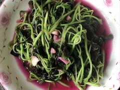-红樱桃月嫂育婴师(徐汇总店)