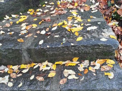 android_upload_pic-终南山古楼观历史文化景区