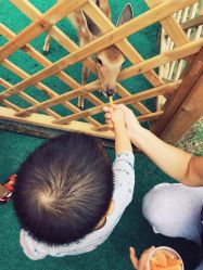 -萌宠亲子动物乐园(槐房万达店)