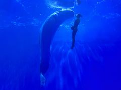 -多彩贵州城极地海洋世界