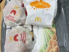 -麦当劳(北京大兴机场二层国内到达(安检外)店)