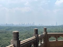 -灵谷景区
