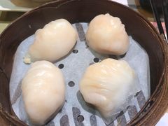 -添好运点心专门店(北角店)