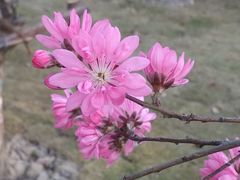 -上海市龙华烈士陵园