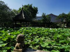 -上海醉白池公园