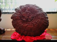 大堂-陶然轩(沙面店)