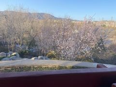 -滨河世纪广场公园