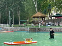 -宠乐会宠物乐园