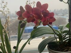 -炉小二铜锅牛蛙•川湘菜(三里屯店)