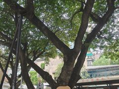 -石炮台公园