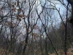 -穹窿山景区
