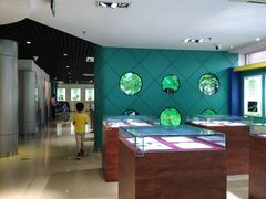 -上海昆虫博物馆