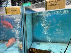 -city'super超·生活(国金中心商场店)