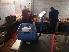 -温江公平红烧兔(总店)