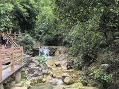 -南海湾森林生态园