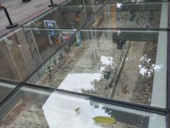 -北京路步行街-千年古道遗址