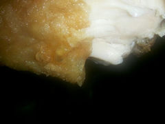android_upload_pic-潘太师炸鸡腿(中茵海华广场店)